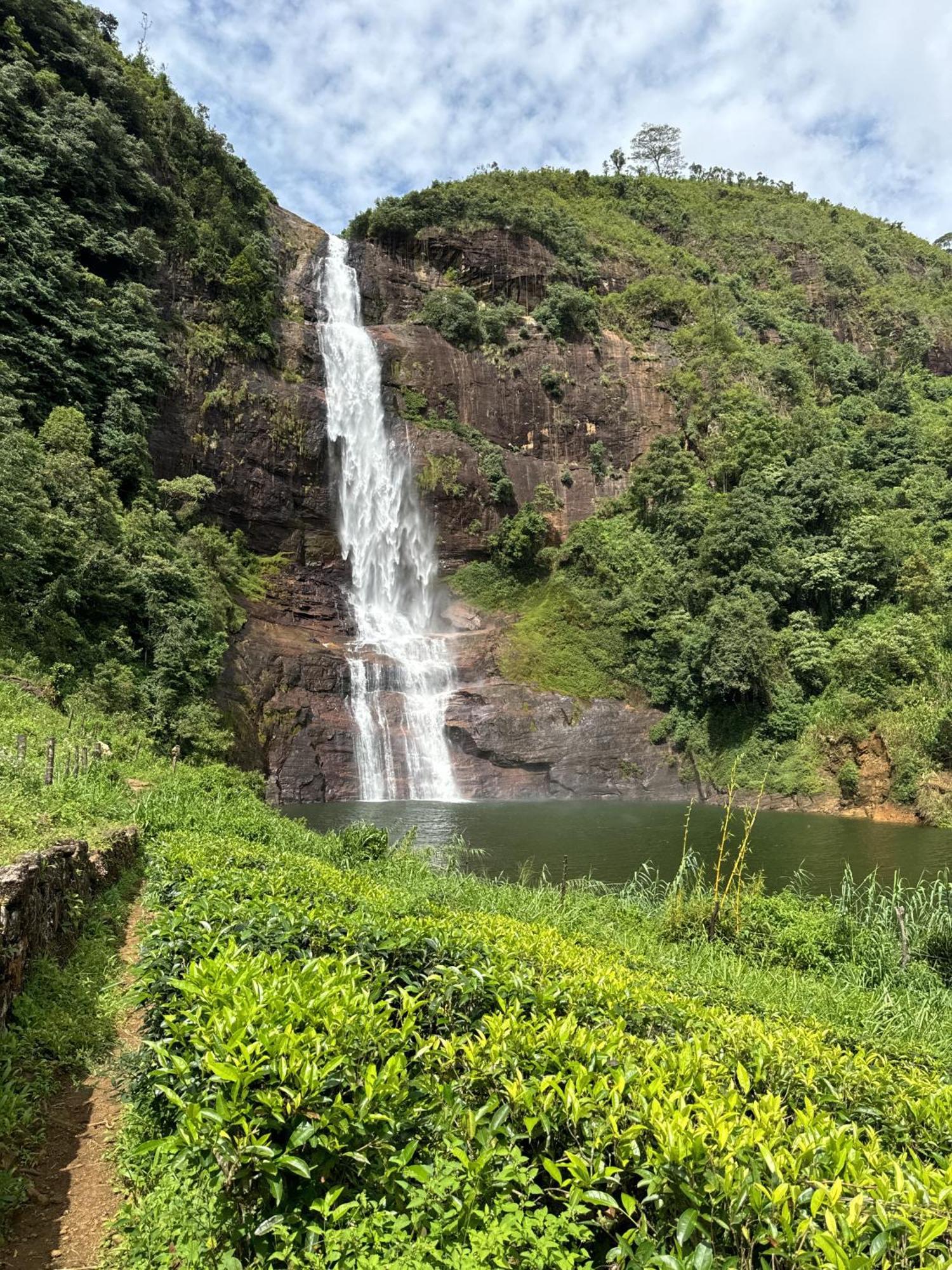 Pekoe Lodge Maskeliya 외부 사진