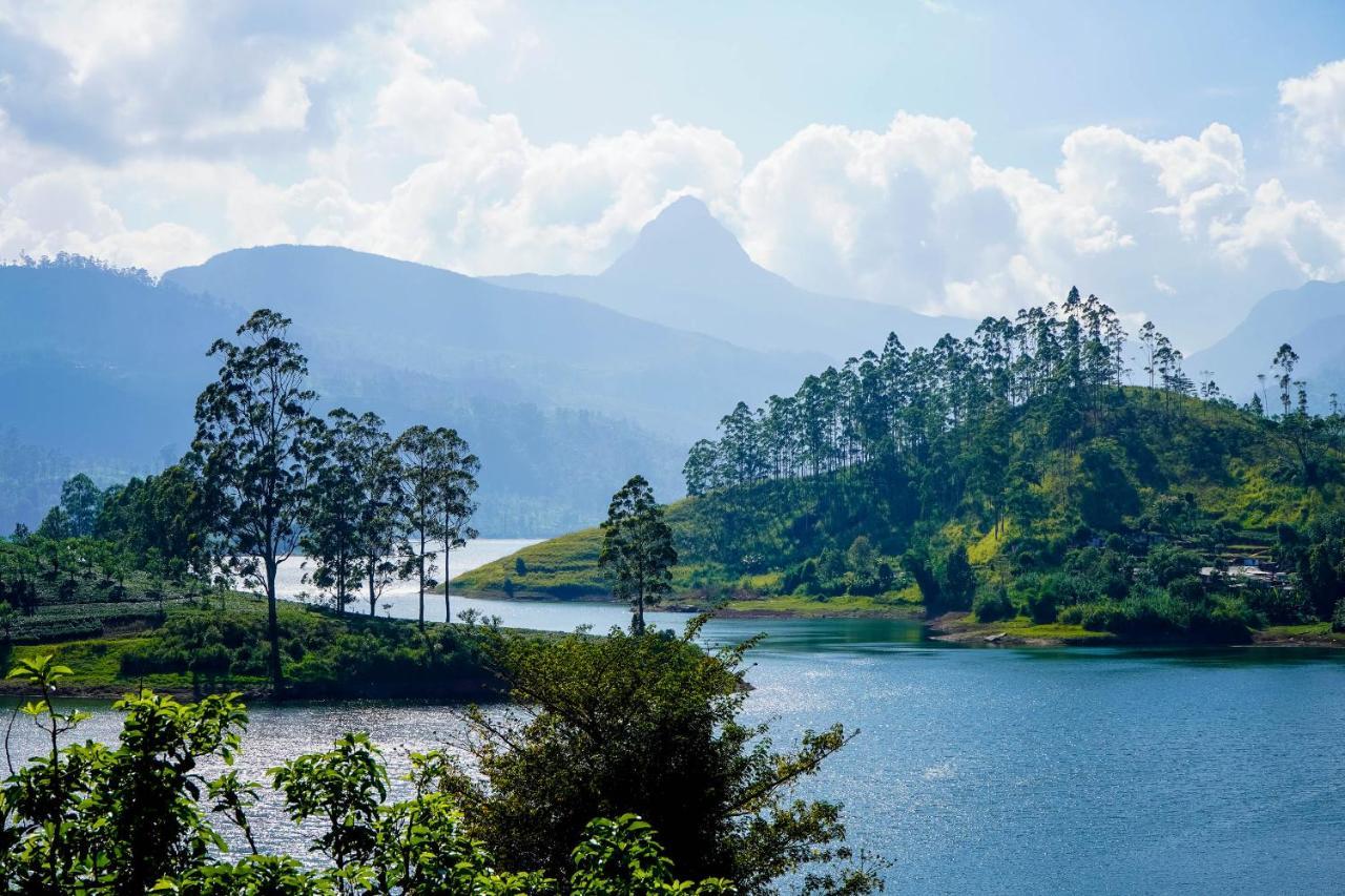 Pekoe Lodge Maskeliya 외부 사진